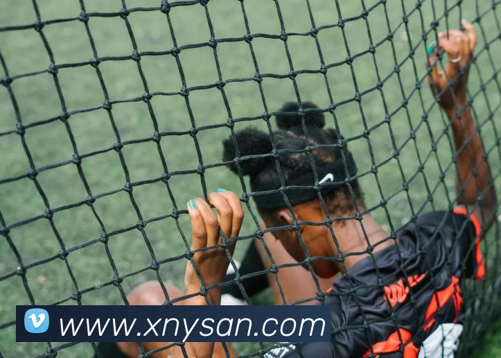 世预赛直播 - 世预赛直播免费观看无插件 - 世预赛直播在线观看 - 24直播网平台生态图